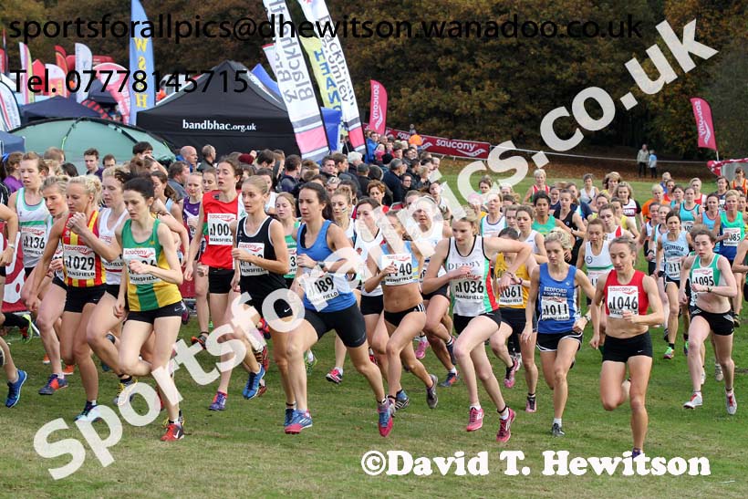 Senior womens National Cross Country Relays. Photo: David T. Hewitson/Sports for All Pics